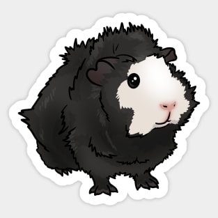 Black and White Face Abyssinian Guinea Pig Sticker